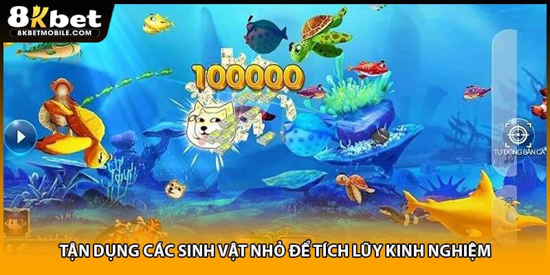 Tận dụng các sinh vật nhỏ để tích lũy kinh nghiệm